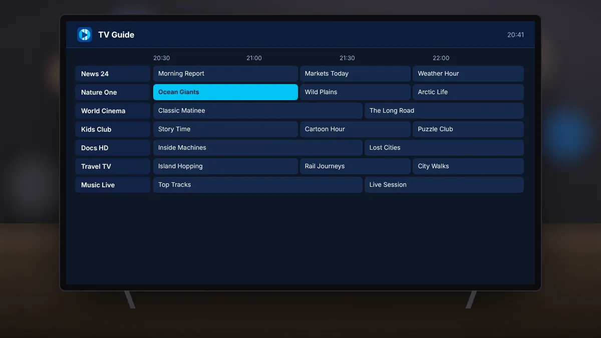 Programme guide grid on a television